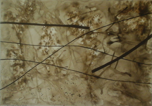 Thumbnail Placeholder